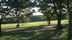 Vendo Jazigo Cemitério Parque das Primaveras Sumaré